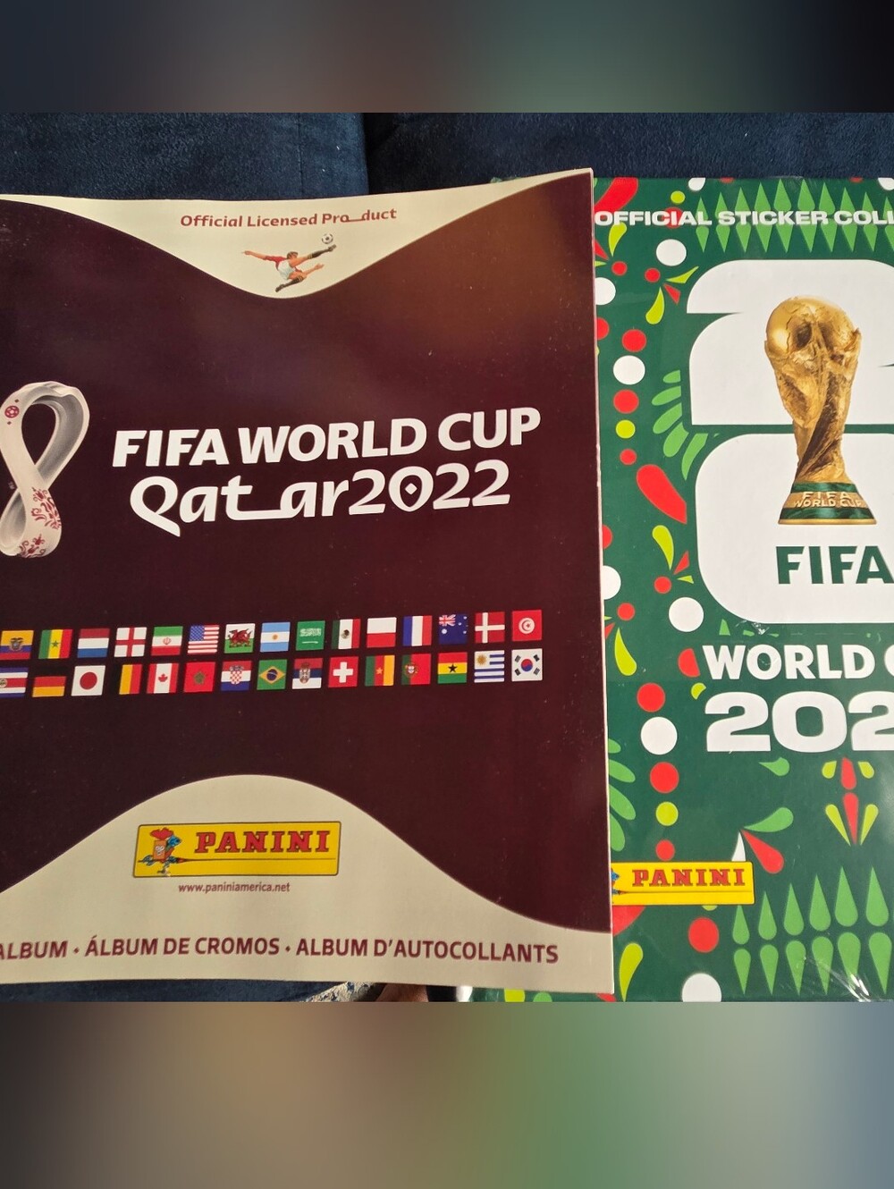 Panini FIFA World Cup Sticker Albums - Qatar 2022 & Mexico 2026